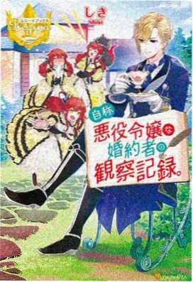 《唱片行的夏天》封面